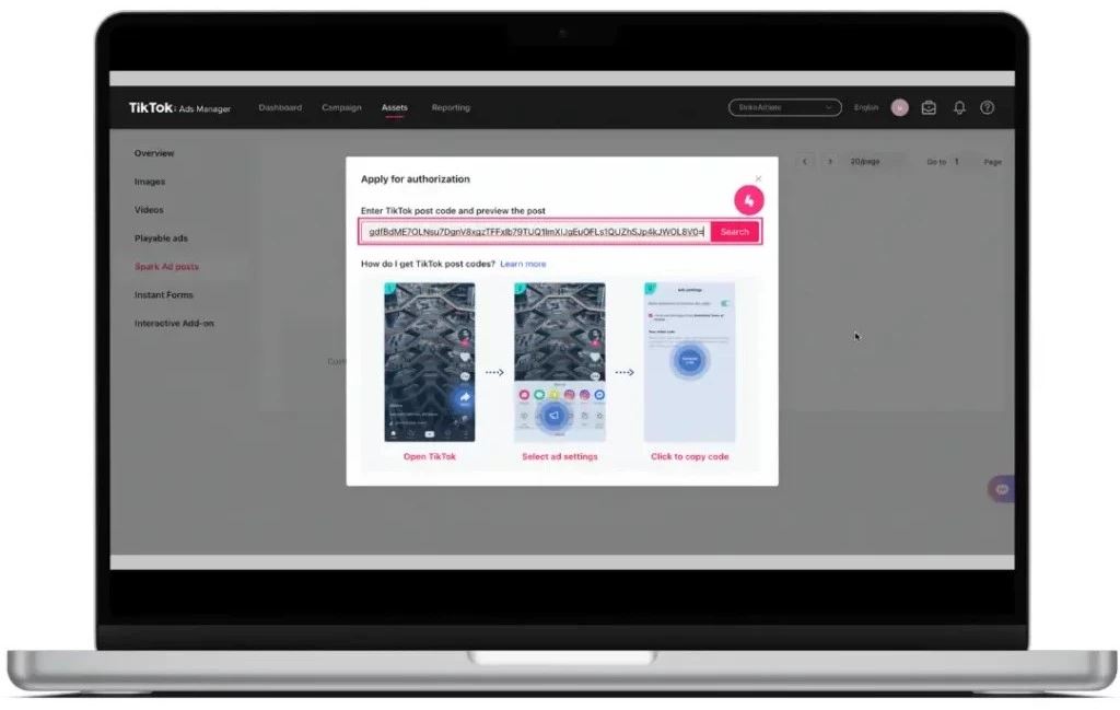 TikTok Ads Apply for Authorization Using the Code