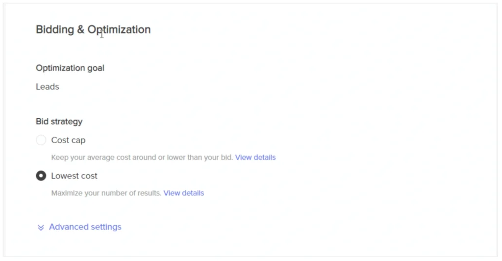 Set Bidding Strategy for TikTok Ads