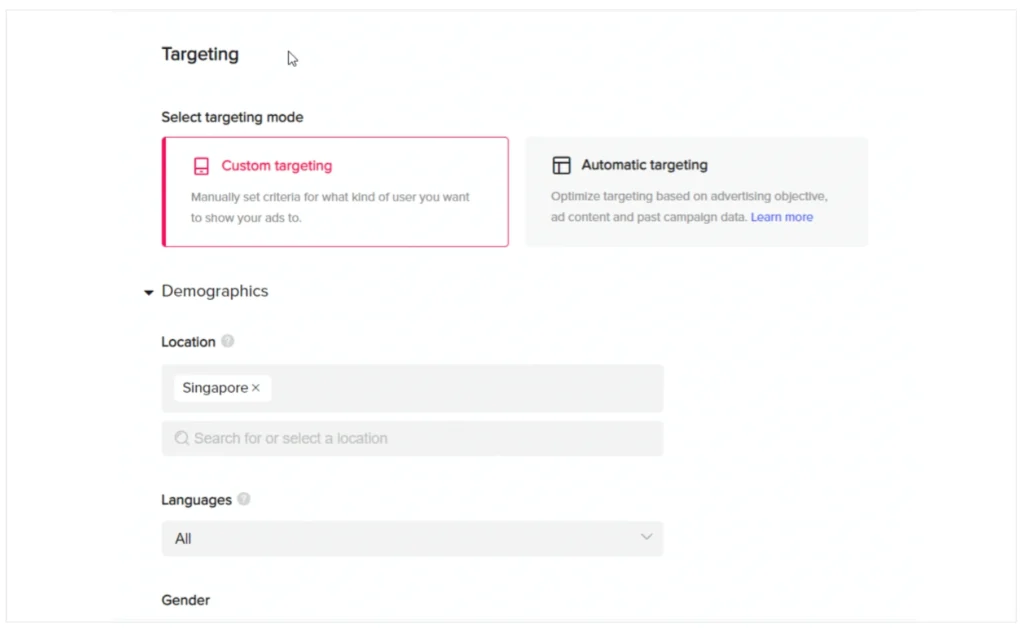 Target Your Ideal Audience with TikTok Ads