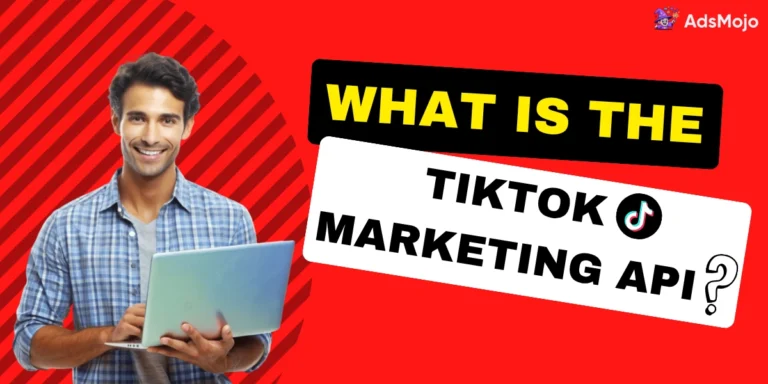 What Is the TikTok Marketing API